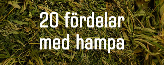 20 fordele ved hamp