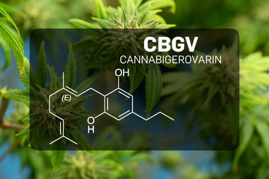 Kemisk struktur af Cannabigerivarin (CBGV)