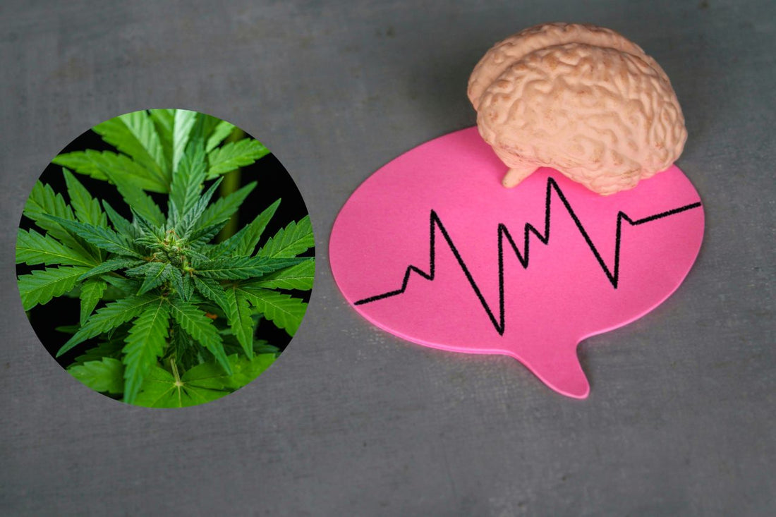 Cannabis til neurologisk behandling