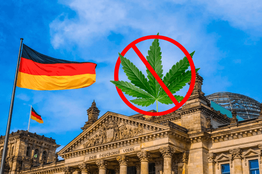 GMA-præsident mod legalisering af cannabis
