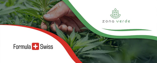 Formula Swiss samarbejder med førende cannabisforhandler i Rumænien