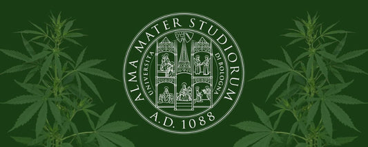 Forskningssamarbejde med universitetet i Bologna