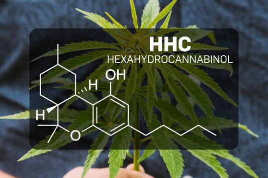 Kemisk struktur af HHC (Hexahydrocannabinol)