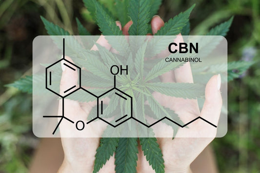 CBN - Cannabinol