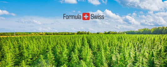 Hvordan industrihamp reducerer CO2-forurening globalt