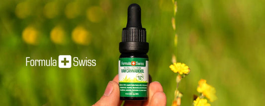 Nye CBD RAW-olier fulde af naturlig CBDa