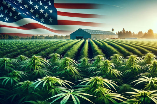 Hampfarm i USA