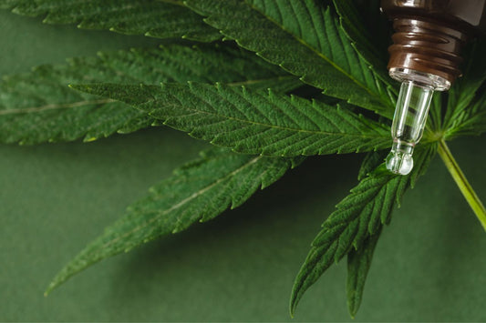 Regler for medicinsk cannabis i New Zealand