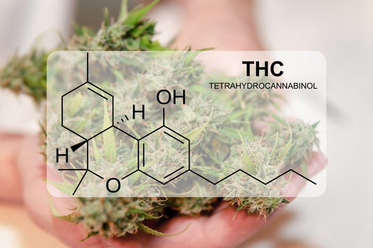 THC - tetrahydrocannabinol