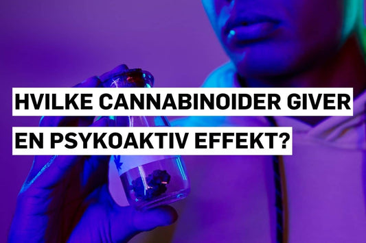 Hvilke cannabinoider giver en psykoaktiv effekt?