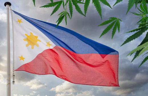 Et vajende filippinsk flag og cannabisblade