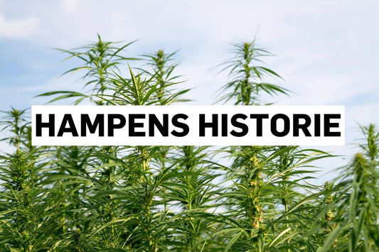 Hampens historie