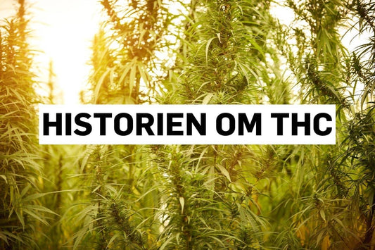 Historien om THC