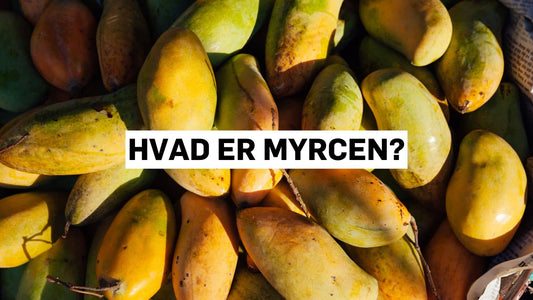 Hvad er myrcen?