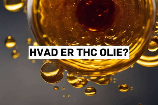 Hvad er THC olie?