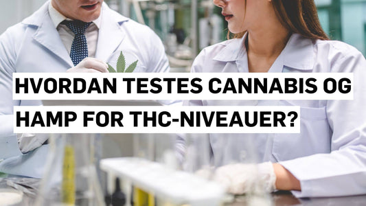 Hvordan testes cannabis og hamp for THC-niveauer?