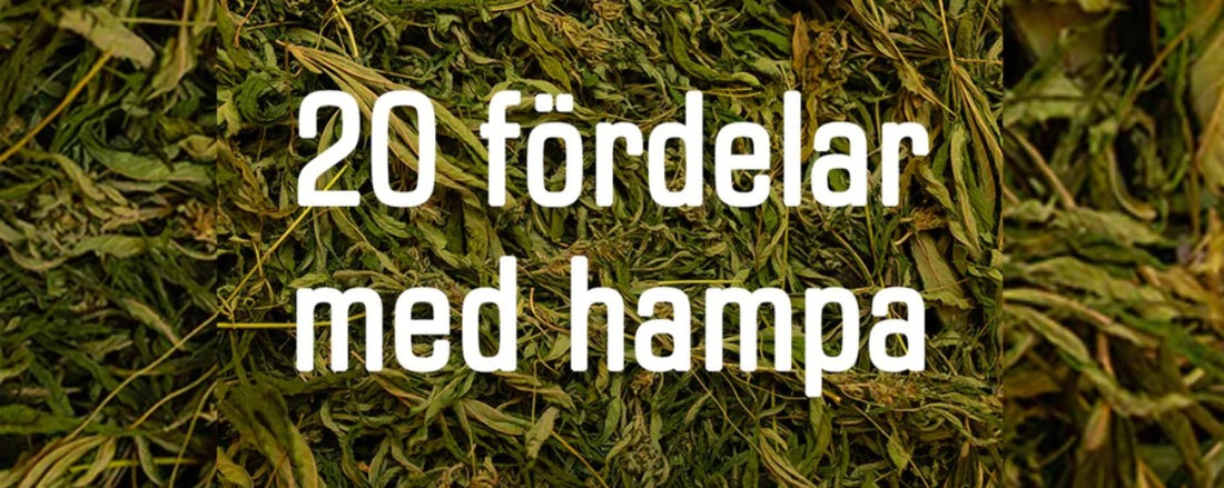 20 fordele ved hamp
