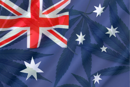 Australsk flag og cannabisblade