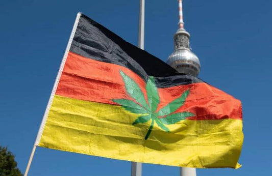 Tysklands plan for legalisering af cannabis
