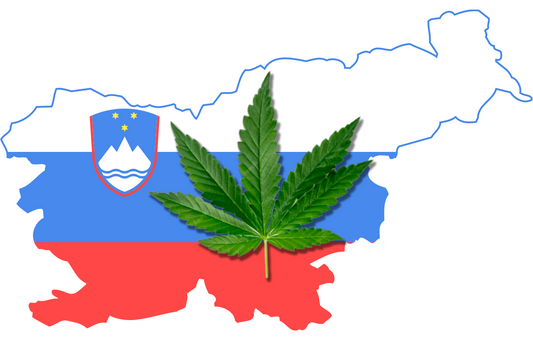 Modstandere af cannabis i Slovenien