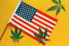 USA's flag med tre cannabisblade
