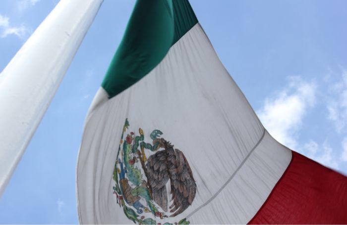  Vifter med Mexicos flag