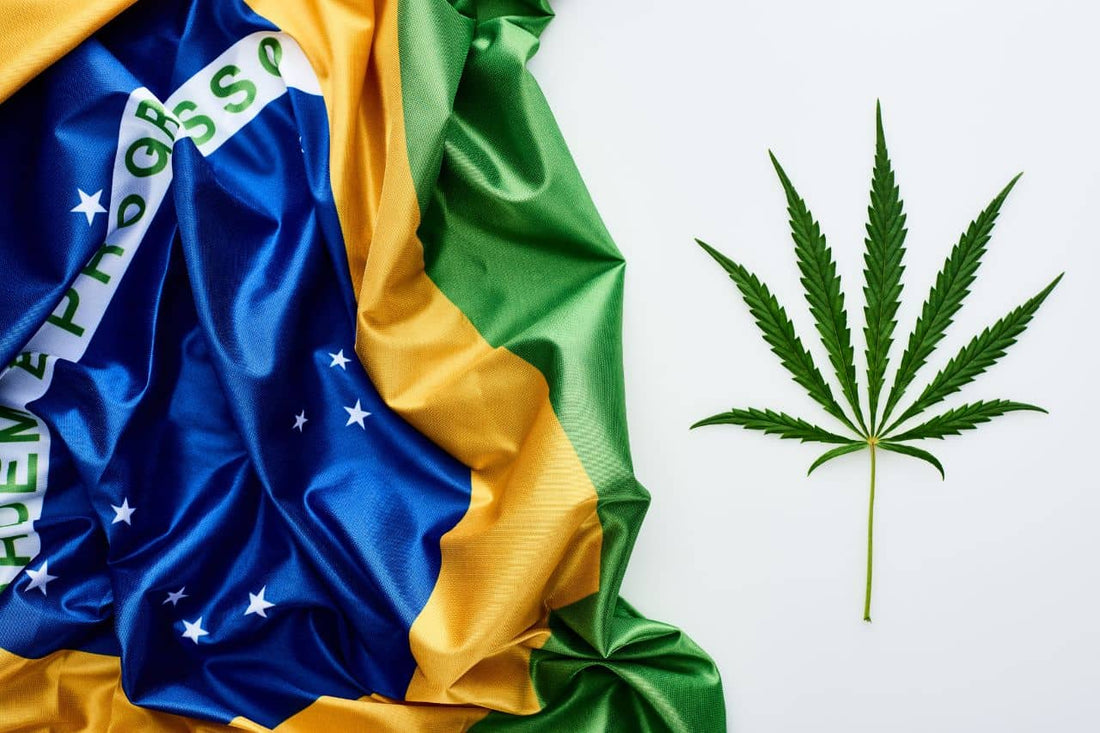 Brasiliens flag og cannabisblad