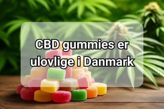 CBD gummies er ulovlige i Danmark