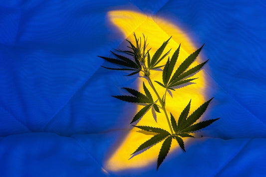 Cannabisblade i sengen