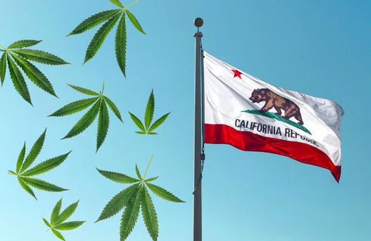 Vifter med Californiens flag og cannabisblade