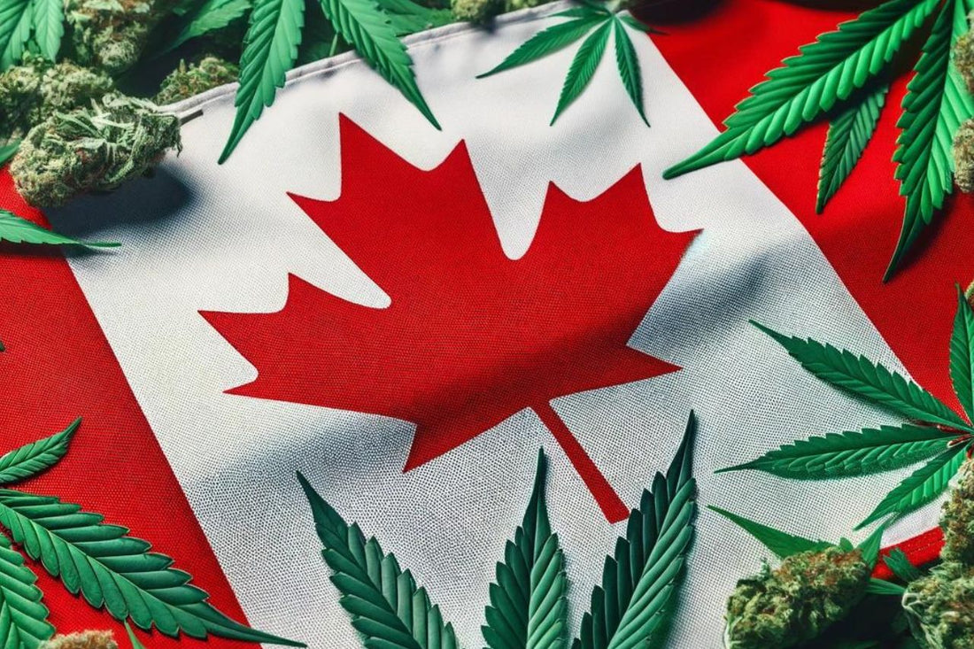 Canadas flag og cannabisblade
