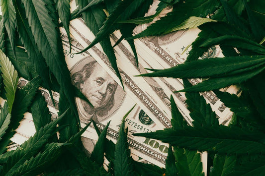 Dollar og cannabisblade