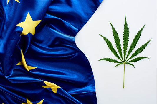 Udbredelsen af cannabis i Europa