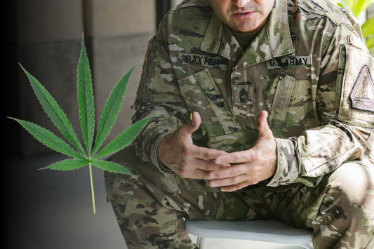 Cannabis forbedrer veteraners liv