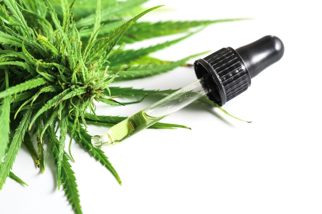 Cannabis i behandlingen af generaliseret angst