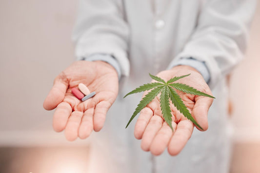 Cannabis som en potentiel hjælp til at reducere opioidtrang: Et nærmere kig