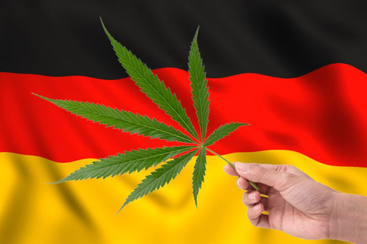Cannabisblad foran det tyske flag