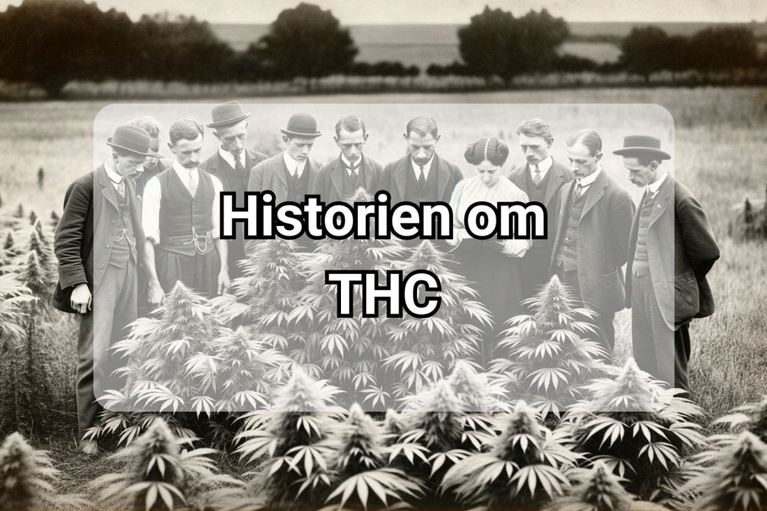 Historien om THC