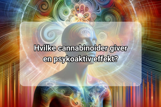Hvilke cannabinoider giver en psykoaktiv effekt?