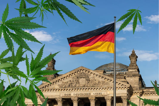 Cannabisblad foran Rigsdagen