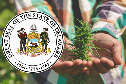 Delaware 22. stat, der legaliserer cannabis til voksne