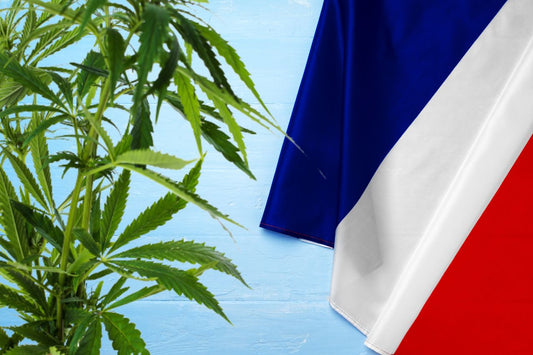 cannabisplante og Frankrigs flag