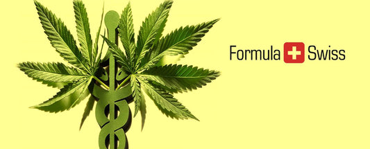Formula Swiss Medical Ltd. vil udvikle medicinske cannabisprodukter