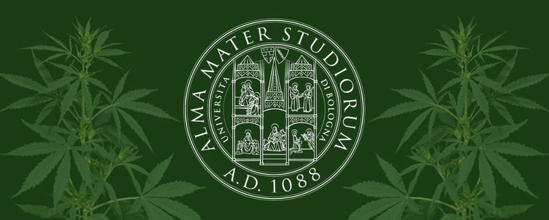 Forskningssamarbejde med universitetet i Bologna