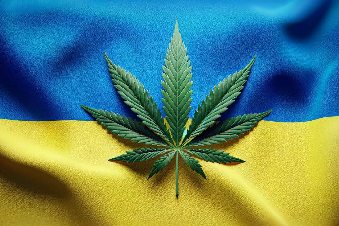 Ukrainsk flag og cannabisblad