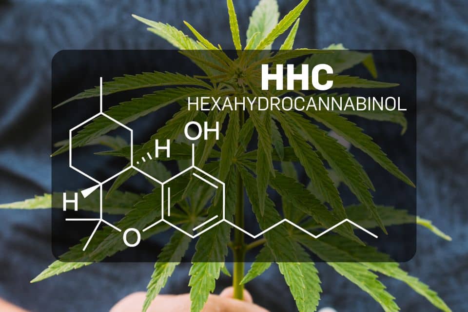 Kemisk struktur af HHC (Hexahydrocannabinol)