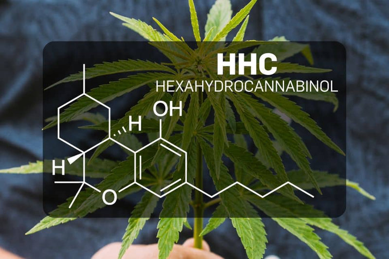 Kemisk struktur af HHC (Hexahydrocannabinol)