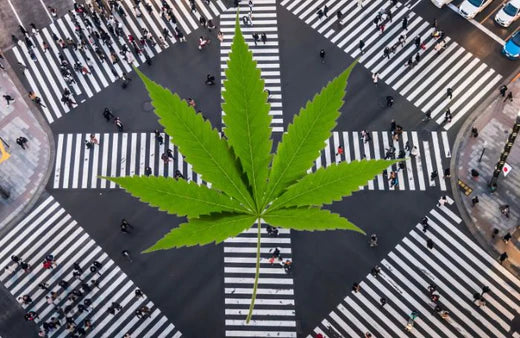 Ginza, Tokyo. og et cannabisblad