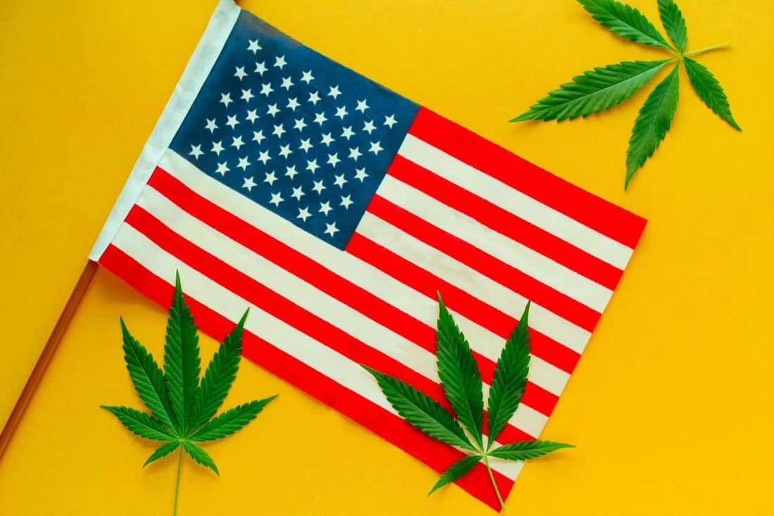 Amerikansk flag med cannabisblade