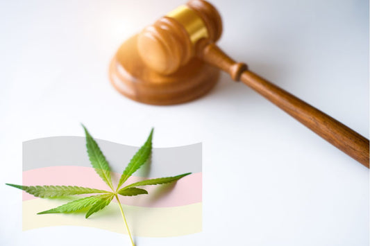  Legalisering af cannabis i Tyskland